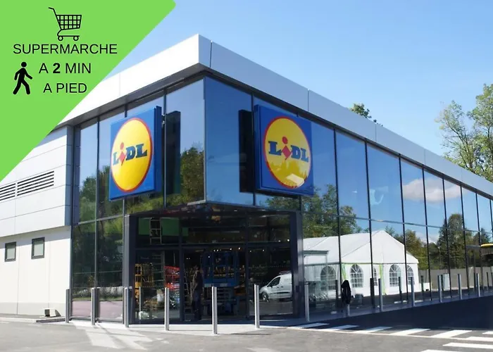 Grand T2 Jardin Wifi Parking Proche Gare